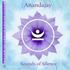 Sounds of Silence. mantra: Anandajay vocals: Anandajay music: Raju & Anandajay arrangement & composition: Anandajay
