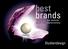 best brands Hintergrund Kategorien Die Initiatoren Wirtschaftswoche Markenverband iq media marketing GmbH
