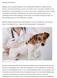 Impfungen bei Haustieren