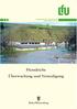 Oberirdische Gewässer, Gewässerökologie 98. Flussdeiche Überwachung und Verteidigung