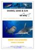 SHARKS, SAND & SUN GREAT HAMMERHEADS / BIMINI ISLAND