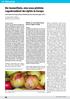 Die Gummifäule, eine neue pilzliche Lagerkrankheit des Apfels in Europa