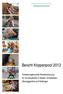 Bericht Krippenpool Familienergänzende Kinderbetreuung für Vorschulkinder in Baden, Ennetbaden, Obersiggenthal und Wettingen