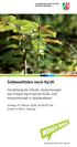 Vorstellung der Studie Auswirkungen des Orkans Kyrill auf die Forst- und Holzwirtschaft in Südwestfalen