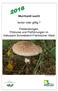 Murrhardt sucht. lecker oder giftig? Pilzberatungen, Pilzkurse und Pilzführungen im Naturpark Schwäbisch-Fränkischer Wald