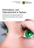 Informations- und Cybersicherheit in Sachsen. Jahresbericht des Beauftragten für Informationssicherheit des Landes 2016