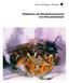 Büro Entomologie + Ökologie. Wildbienen als Bestäuberpotenzial von Streuobstwiesen