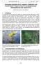 Utricularia australis und U. vulgaris Südlicher und Gewöhnlicher Wasserschlauch (Lentibulariaceae), Wasserpflanzen des Jahres 2015