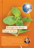 Biologie mit Minze Plants R Mint