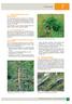 7.2. Weideschäden. Inhaltsverzeichnis Forstschutz Wildschäden durch das Schalenwild