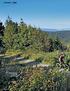 Hochgefühle am Bocksberg: 727 Meter über dem Meer öffnet sich der Blick ins norddeutsche Tiefland. 146_ BIKE 8/06