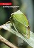 Rote Liste der Zikaden (Insecta: Hemiptera: Auchenorrhyncha) Thüringens