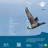 Programm. 7. Zugvogeltage im Nationalpark Niedersächsisches Wattenmeer Borkum. Veranstalter: