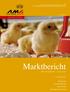 Marktbericht. EIER UND GEFLÜGEL Februar AUSGABE Marktbericht der AgrarMarkt Austria für den Bereich Eier und Geflügel