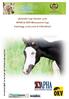 4friends Cup-Turnier 2016 APHA & OKV Movanorm Cup Samstag, in Fehraltorf APHA Black tobiano colt, infos: