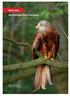 Rote Liste der Brutvögel (Aves) Thüringens