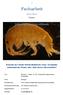 Facharbeit. 2012/2013 Thema: Dikerogammarus villosus