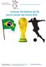 German Vocabulary A2-B2 soccer world cup Brazil 2014