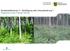 Bundeswaldinventur 3 Bestätigung oder Herausforderung? Ergebnisse für den Freistaat Sachsen