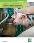 Leitfaden zur nachvollziehbaren Umsetzung stark N-/P-reduzierter Fütterungsverfahren bei Schweinen