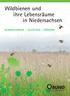 Wildbienen und ihre Lebensräume in Niedersachsen KENNENLERNEN - SCHÜTZEN - FÖRDERN