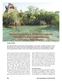 Beobachtungen zur Raumnutzung der Cichliden in der Laguna Bacalar, Quintana Roo, Mexiko