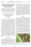Vermehrtes Auftreten der Großen Moosjungfer (Leucorrhinia pectoralis) in der badischen Oberrheinebene 2012 (Odonata: Libellulidae)