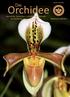 Volume 2(2) Die. Orchidee. Journal der Deutschen Orchideen-Gesellschaft zur Förderung der Orchideenkunde. ISSN-Internet