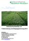 Zwischenfruchtanbau zur Futternutzung und Biogasgewinnung 2010