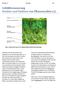 Zelldifferenzierung Struktur und Funktion von Pflanzenzellen (A)