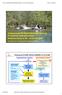 Umsetzung der EU-Wasserrahmenrichtlinie und Perspektiven eines nachhaltigen Wassertourismus an der Krummen Spree