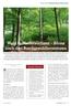 Wald in Niedersachsen Bilanz nach drei Bundeswaldinventuren