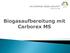 Biogasaufbereitung mit Carborex MS