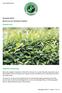 Newsletter 9/2017 Bericht aus den Fairbiotea-Projekten Qingshan farm Allgemeine Entwicklung