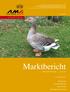Marktbericht. EIER UND GEFLÜGEL April AUSGABE Marktbericht der AgrarMarkt Austria für den Bereich Eier und Geflügel