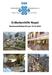 Erdbebenhilfe Nepal. Rechenschaftsbericht per