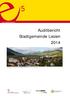 Auditbericht Stadtgemeinde Liezen 2014