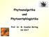 Phytoanalgetika und Phytoantiphlogistika. Prof. Dr. M. Kaszkin-Bettag SS 2017