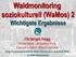 Waldmonitoring soziokulturell (WaMos) 2 Wichtigste Ergebnisse