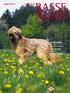 Ausgabe Das magazin des vdh. Aus dem Verband Der Club für französische Hirtenhunde. Hund und Leben Mantrailing. Canines Herpesvirus