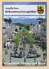 Amtliches Bekanntmachungsblatt der Gemeinde Ostseebad Binz. 17. Jahrgang Sonderdruck Nr Mai 2009