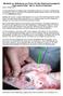 Merkblatt zur Betäubung von Puten mit dem Bolzenschussapparat Cash poultry killer der Fa. Accles & Shelvoke Stand: Oktober 2015