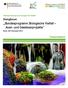 Bundesprogramm Biologische Vielfalt Auen- und Gewässerprojekte