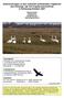 Untersuchungen zu den verbreitet auftretenden Vogelarten des Anhangs I der EU-Vogelschutzrichtlinie in Schleswig-Holstein 2007