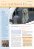 animal f lash Wie handeln, wenn ein Hund in der Hitze im Auto zurückgelassen wurde? Editorial