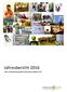 Jahresbericht 2016 Fach- und Beratungsstelle Extremismus INSIDE OUT