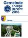 Gemeinde-Energie-Bericht 2016, Ternitz Inhaltsverzeichnis