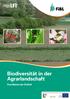 Biodiversität in der Agrarlandschaft