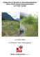 Endbericht (8. Bericht) zur Artenhilfsmaßnahme Typha minima Hoppe (Zwergrohrkolben) im Tiroler Lechtal