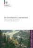 Der Schutzwald in Liechtenstein. Konzept zur Erhaltung und Verbesserung der Schutzleistung des Waldes